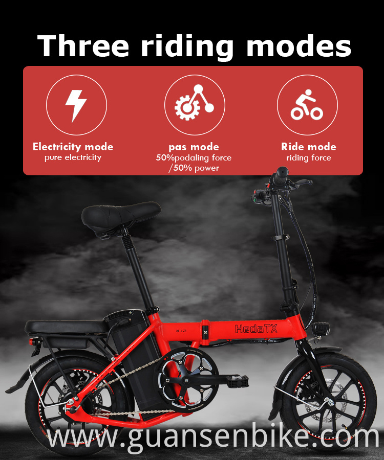 Electric Folding Bike